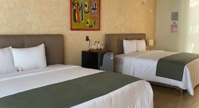 Двухместный люкс Hotel Boutique Casa Del Bosque