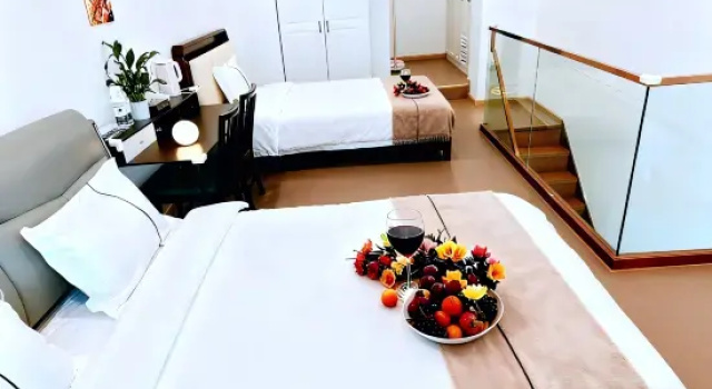 Двухместный люкс Business Guiyue Loft Movie Homestay (Wuhan Tianhe Airport Aviation Headquarters Subway Station)