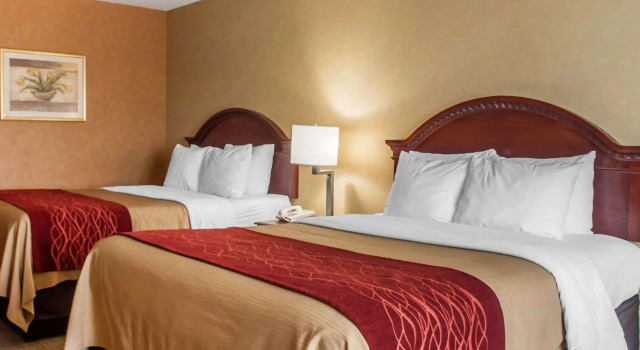 Четырёхместный номер Standard Quality Inn Near Walden Galleria Mall