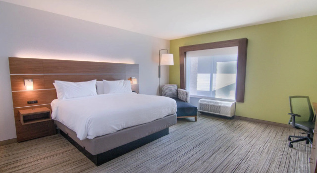 Номер Standard Holiday Inn Express & Suites Mobile - University Area by IHG