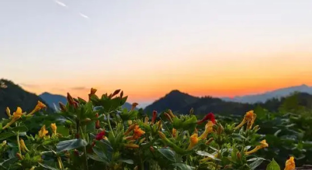 Xingqing Homestay, Prenota Hotel Hotel a Anhui con parcheggio, Parcheggio