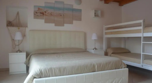 B&B Venus