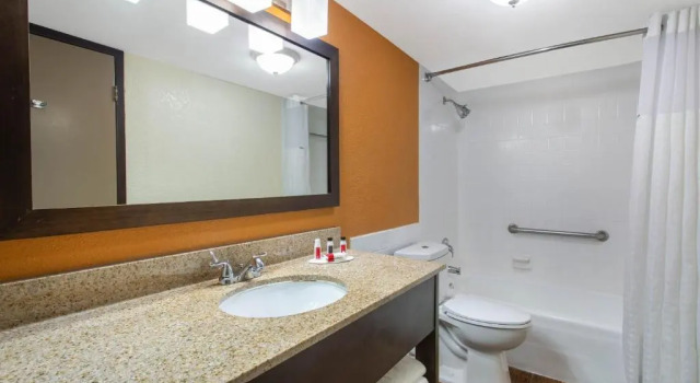 Номер Standard с видом на город Ramada by Wyndham Tampa Westshore Airport South