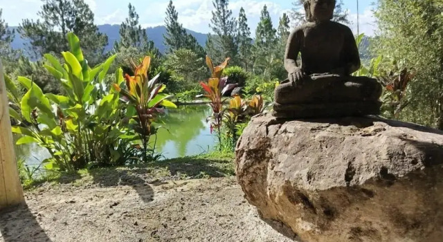 Bhoga Forest Orosi, Réserver Hôtel Orosí 