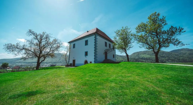 Апартаменты c 1 комнатой Wine Growers Mansion Zlati Gric
