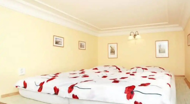 Люкс Apartment Siroka 14