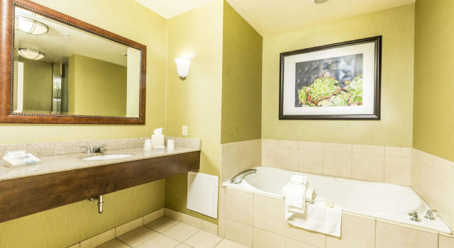 Двухместный люкс Hilton Garden Inn St. George