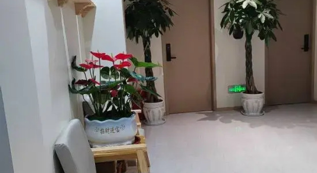 Qifeng Homestay (Xingyi DCF)