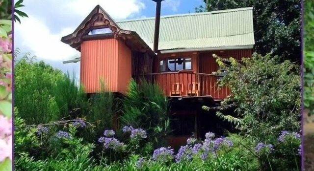 Sycamore Avenue Treehouses