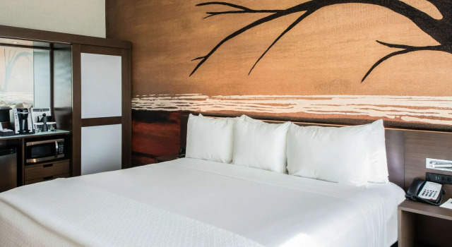 Двухместный номер Standard Cambria Hotel McAllen Convention Center