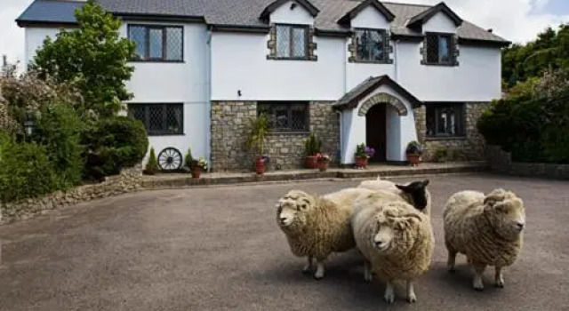 Sheepleys B&B, Boek Bed and Breakfast Cowbridge 