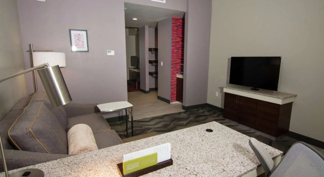 Одноместный люкс Hilton Garden Inn Tampa Suncoast Parkway