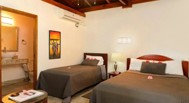 Трёхместный номер Standard с видом на бассейн Parrot Cove Lodge