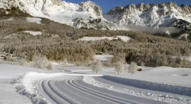 Appartement Claudia, Book Lejlighed Going am Wilden Kaiser Wilder Kaiser