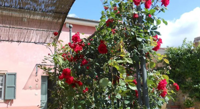 Agriturismo Le Pellicce, Book Hotel Hoteller i Riparbella med pool, Swimmingpool