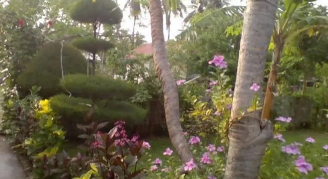 Tropicana Bungalows