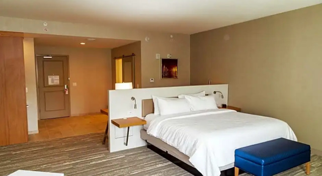 Номер Premium Hilton Garden Inn Tampa - Wesley Chapel