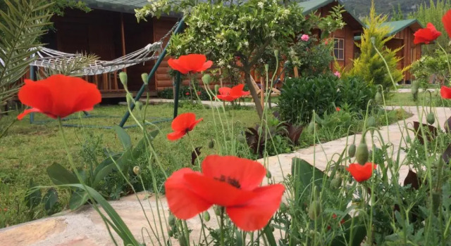 Семейное бунгало Cirali Armira Bungalow