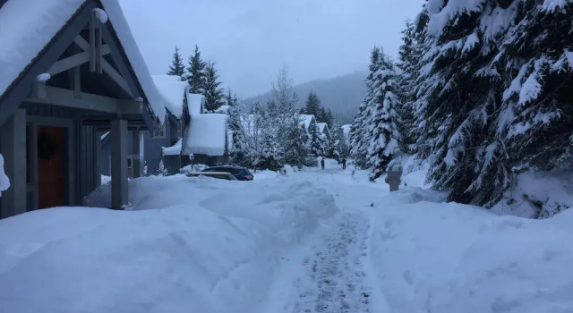 Коттедж 23 Treeline