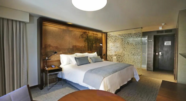 Двухместный номер Superior Hotel Cumbres Lastarria
