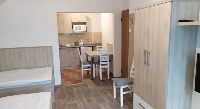 Четырёхместный номер Standard Apartmány Okoun