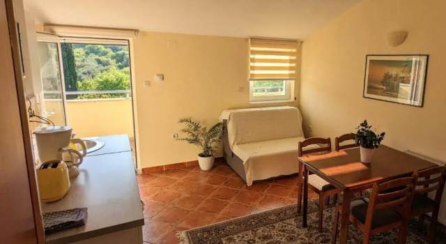 Апартаменты c 1 комнатой с балконом и с видом на море Apartments Villa Ilenia