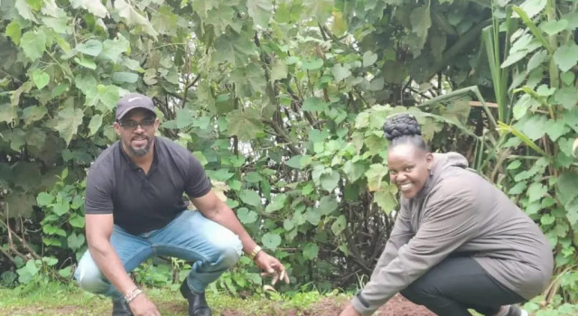 Bunyonyi Apple Farm Stay