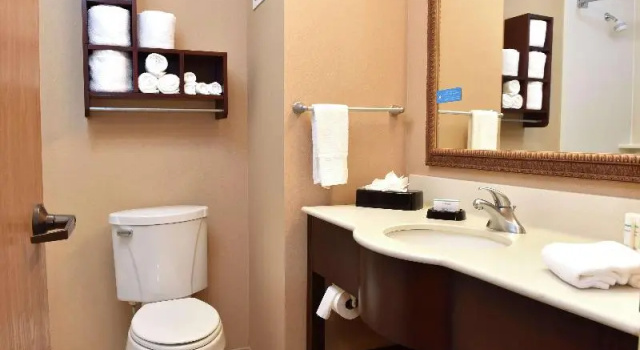 Studio Hampton Inn Ruston