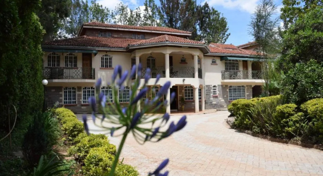 Номер Standard Margarita House
