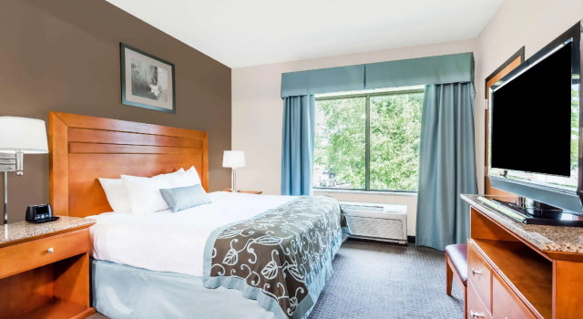Двухместный номер Standard Spark by Hilton Lancaster Dutch Country