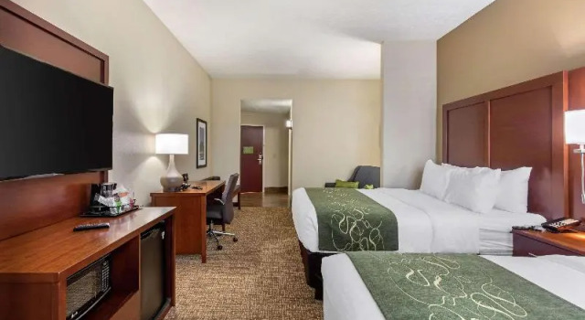 Трёхместный номер Standard Comfort Suites Nashville near Percy Priest Lake