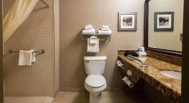 Двухместный номер Standard с балконом Best Western Plus Fernie Mountain Lodge
