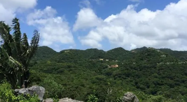 Churaumi Milky Way, Book Hotel Hotels in Okinawa with Breakfast, Breakfasts