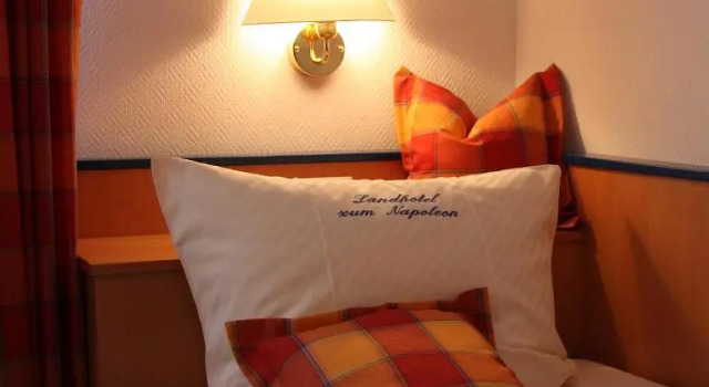 Одноместный номер Standard Landhotel Napoleon