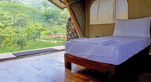 Тент Wild Glamping Knuckles