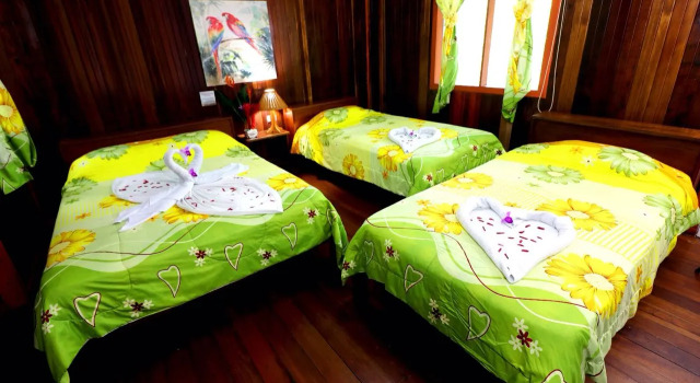 La Baula Lodge, Rezerwuj Hotel Hotele w Tortuguero z basenem, Basen