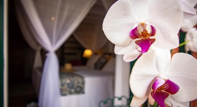Семейный номер Standard с видом на сад Pedra da Laguna Boutique Hotel SPA
