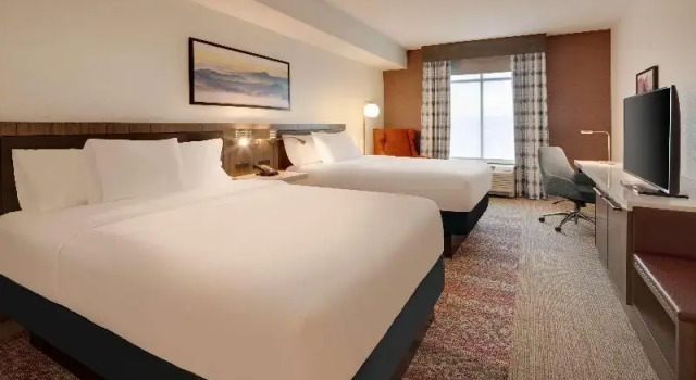 Шестиместный номер Standard Hilton Garden Inn Haymarket
