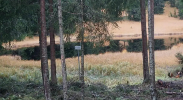 Lejlighed Paradies 001