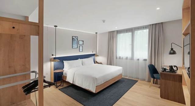 Двухместный номер Accessible Hilton Garden Inn Bucharest Airport