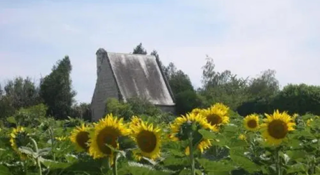 Domaine de la chapelle - Ch d'hote