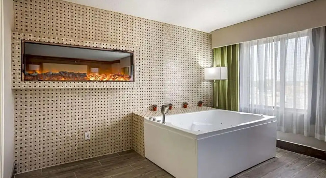 Двухместный люкс Corner The Leo Collection Detroit, an Ascend Collection Hotel