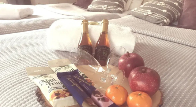 Номер Classic Karkausmäki Guesthouse
