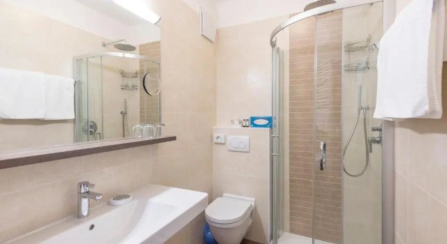 Номер Premium Hotel Moserhof