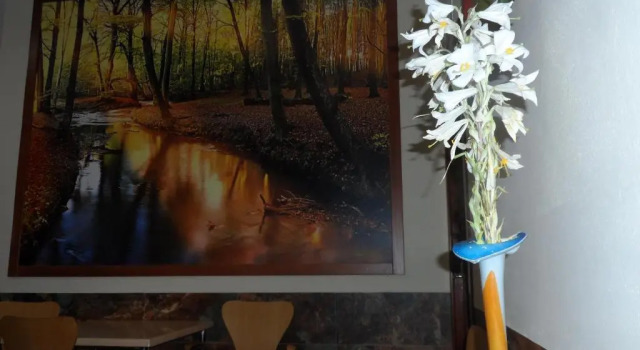 Hostal Via Del Caminante, Book Hotel Hotels in Extremadura with Breakfast, Breakfasts