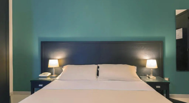 Двухместный номер Standard Executive Business Hotel