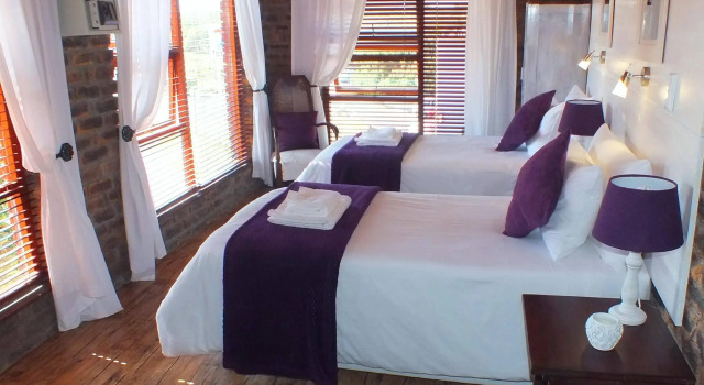 White Shark Guest House