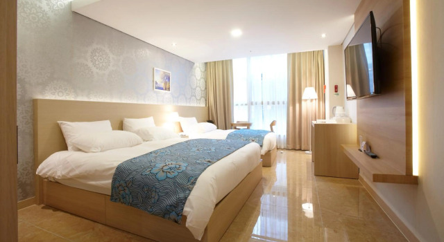 Hotel Sopra