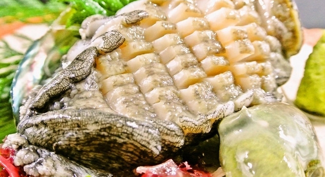 Kyukamura Ohkunoshima, Buchen Sie Hotel Takehara Hiroshima
