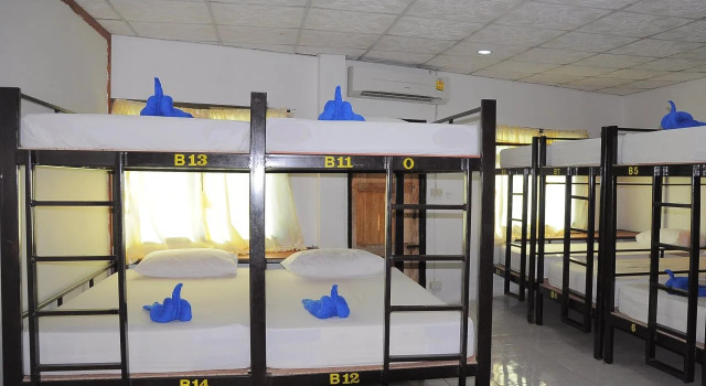 Mickey Hostel